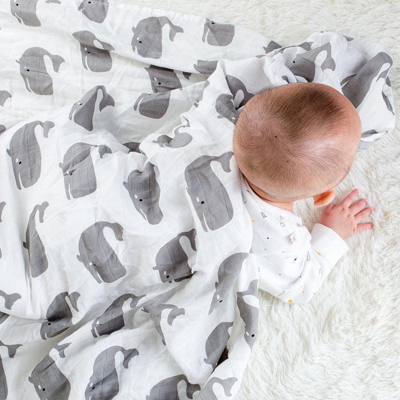 Animal Printed Swaddles for Infants - Stylus Kids