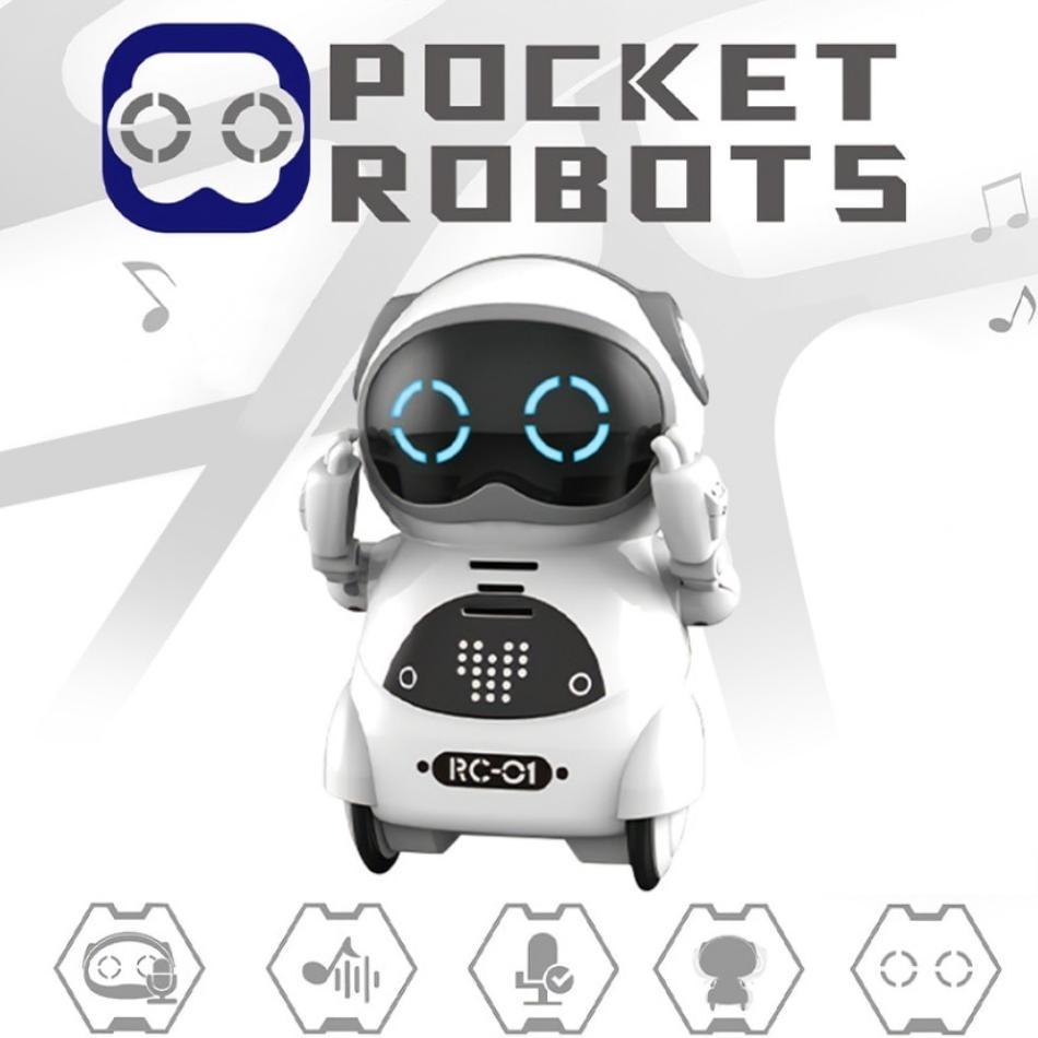 Kid's Talking Pocket RC Robot - Stylus Kids