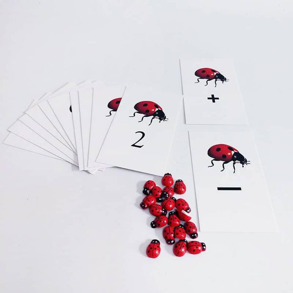 Ladybug Numeric Activity Cards Set - Stylus Kids