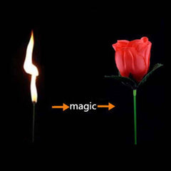 Torch to Flower Fire Magic Trick - Stylus Kids