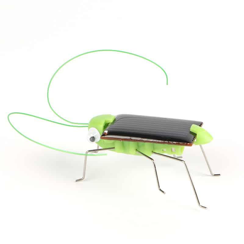 Solar-Powered Toy Grasshopper - Stylus Kids