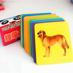 Educational Fruits and Animals Cognition Cards Set - Stylus Kids