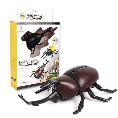 Wireless Remote Controlled Bug - Stylus Kids