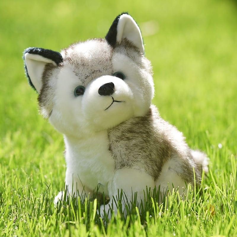 Husky Dog Plush Toy - Stylus Kids