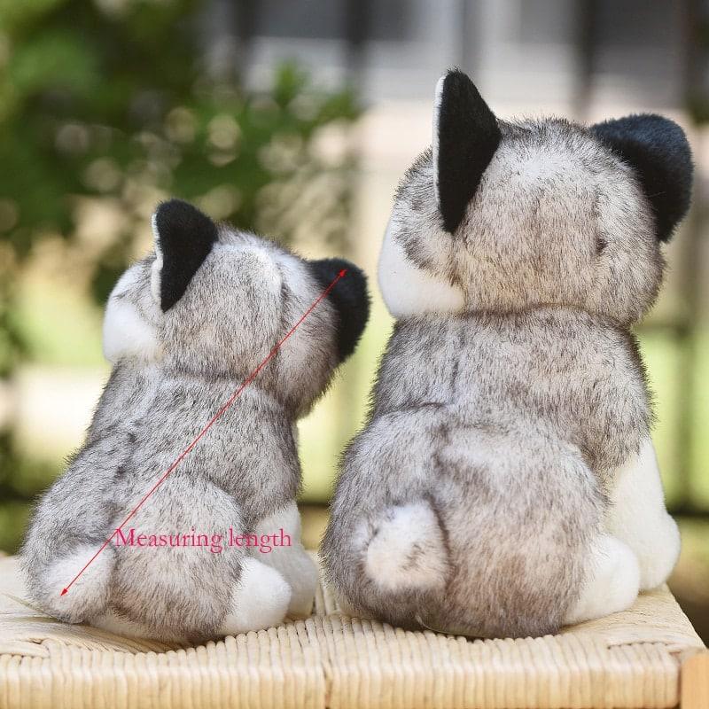 Husky Dog Plush Toy - Stylus Kids