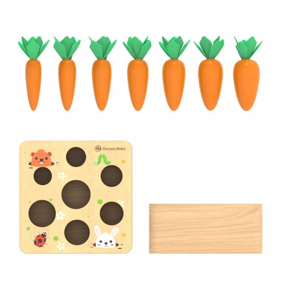 Wooden Carrot Shape Matching Toy - Stylus Kids
