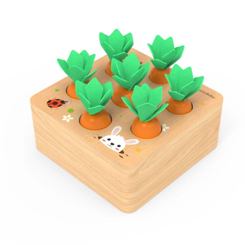 Wooden Carrot Shape Matching Toy - Stylus Kids