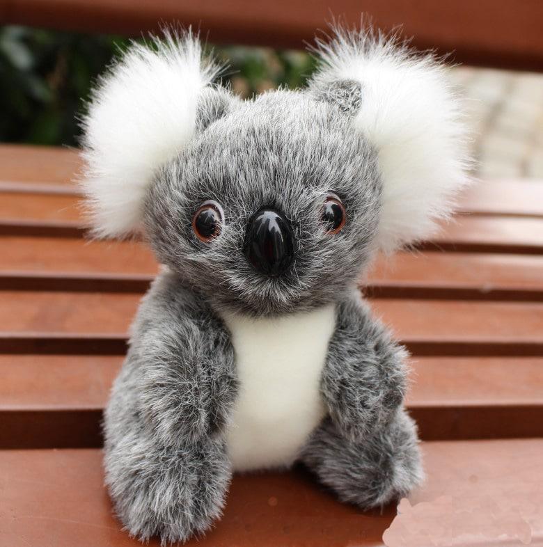 Cute Koala Plush Toy - Stylus Kids