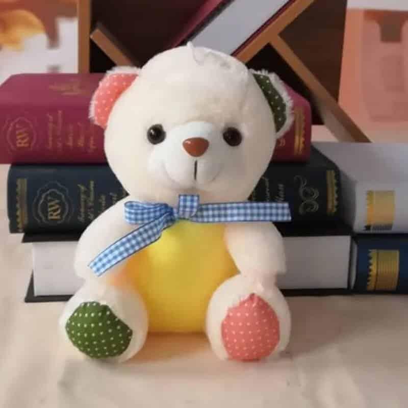 Colorful Plush Teddy Bear Toy - Stylus Kids