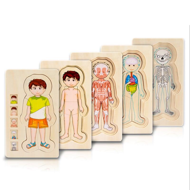 Wooden Human Body Puzzle - Stylus Kids