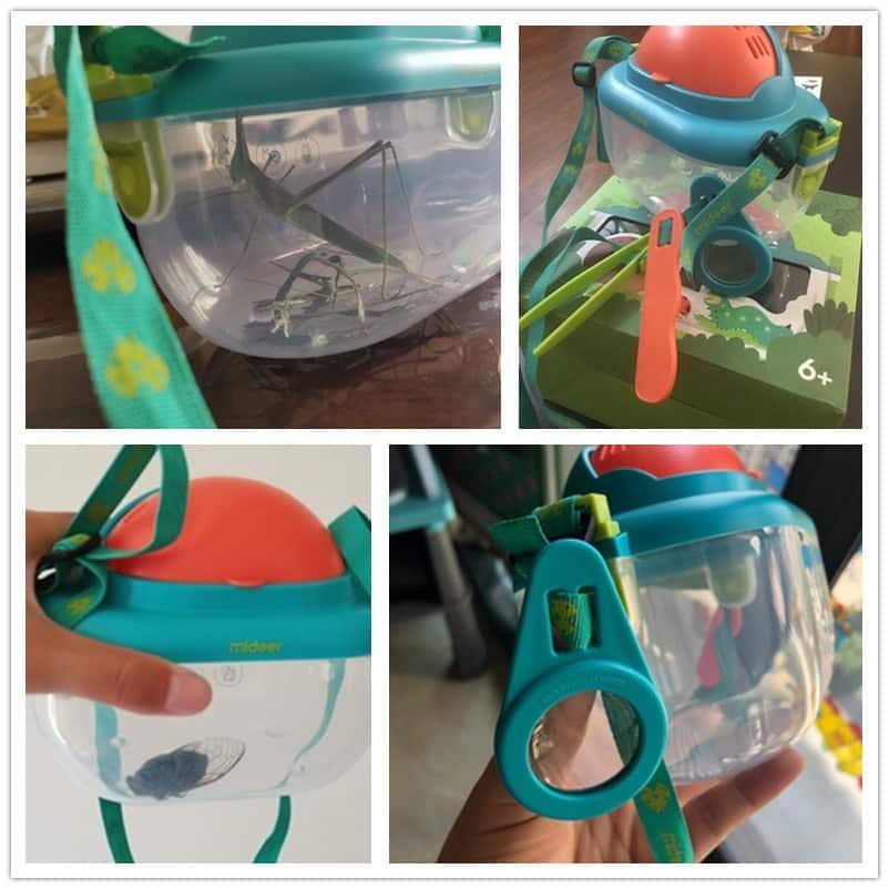 Transparent Insect Plastic Box - Stylus Kids
