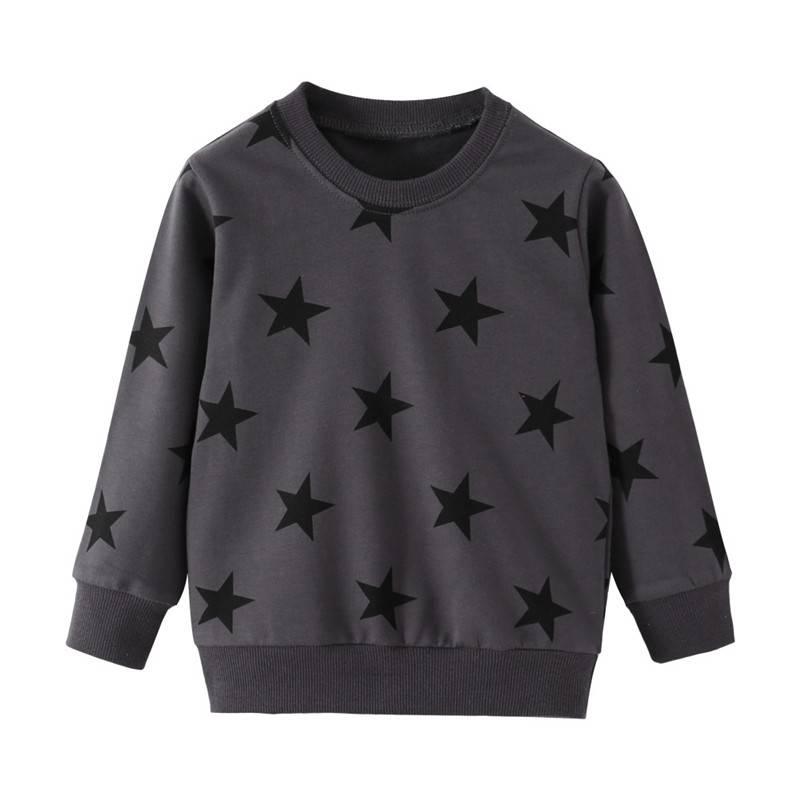 Boy's Dinosaur Printed Sweatshirt - Stylus Kids